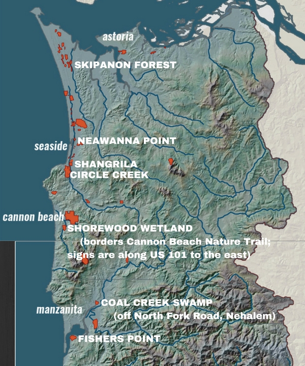 Marsh wren migration map 2
