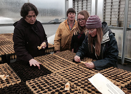 Left to right: Allison Wilski, Tammi, Melissa, and Celeste.