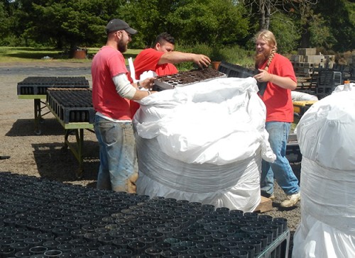 Camp Tillamook work-study nursery