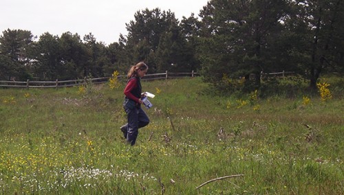 Katie Voelke looking for violets in Pinehurst preserve, 2005