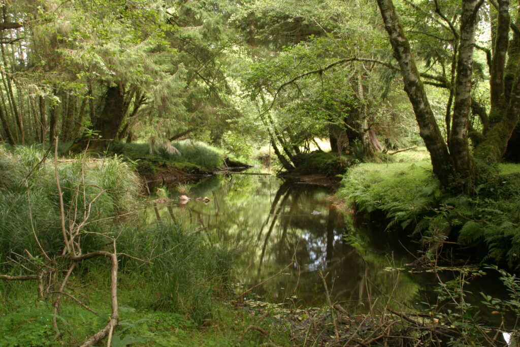 Circle Creek Conservation Center