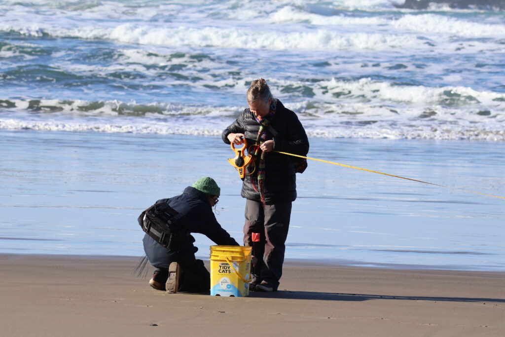 NCLC Marine Program Manager Angela Whitlock (right) and volunteer Mylasia Miklas measure out the survey site.