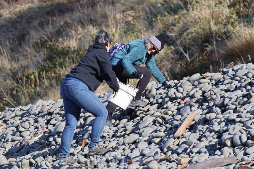 Volunteers collect marine debris from the cobblestones lining the edge of the beach.